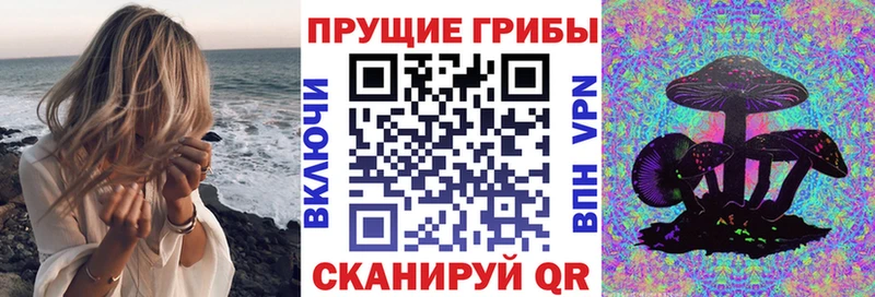 Псилоцибиновые грибы Magic Shrooms  закладка  Янаул 